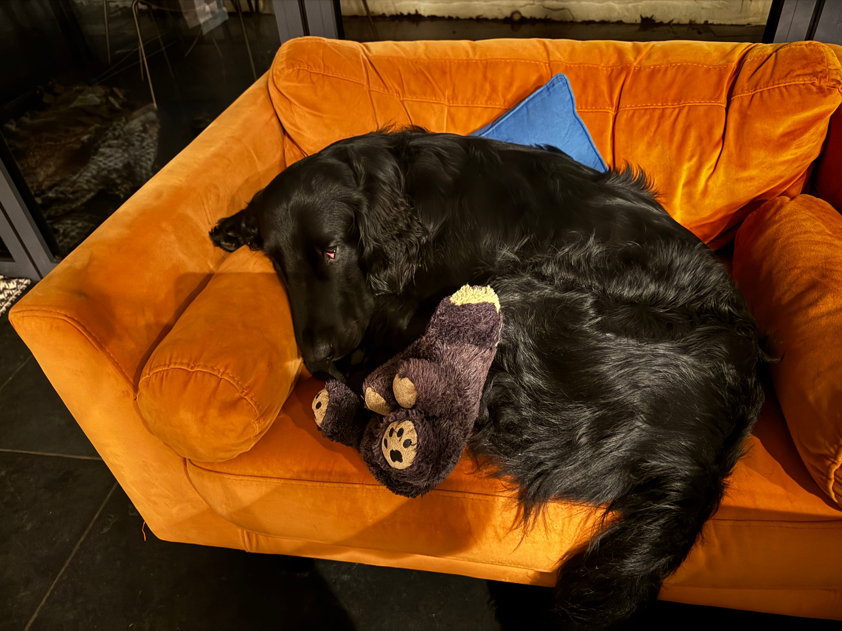 Why do big corporations always ruin things?